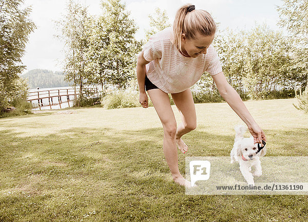 Frau spielt im Garten mit dem Hund coton de tulear  Orivesi  Finnland
