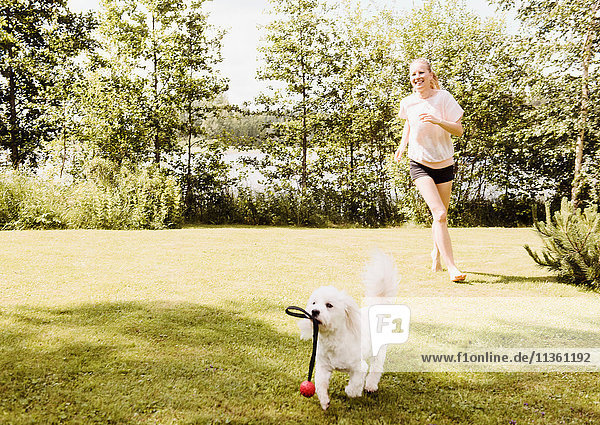 Frau rennt dem Hund coton de tulear im Garten nach  Orivesi  Finnland