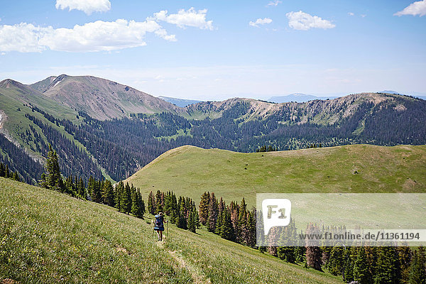 Female backpacker hiking landscape trail  Never Summer Wilderness  Colorado  USA