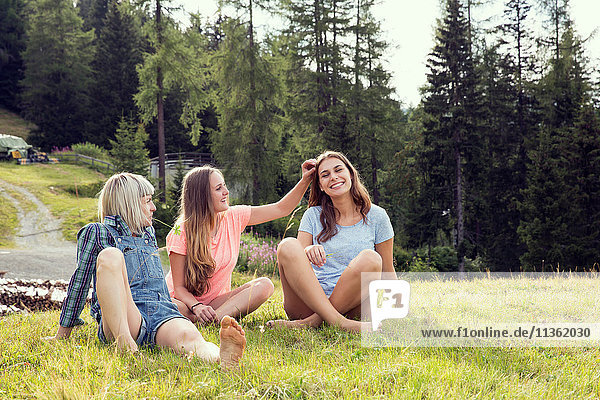 Junge Frau legt Blume ins Haar von Freunden im Feld  Sattelbergalm  Tirol  Österreich