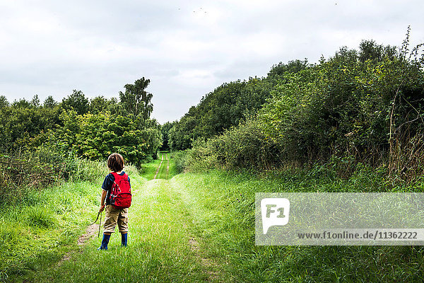 Rear view of boy with backpack on rural landscape