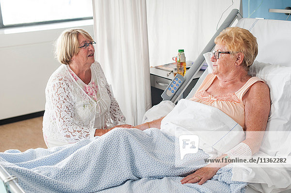 Woman visiting patient in hospital