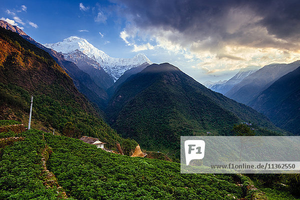 Chomrong Village Area ABC trek (Annapurna Base Camp trek) Nepal