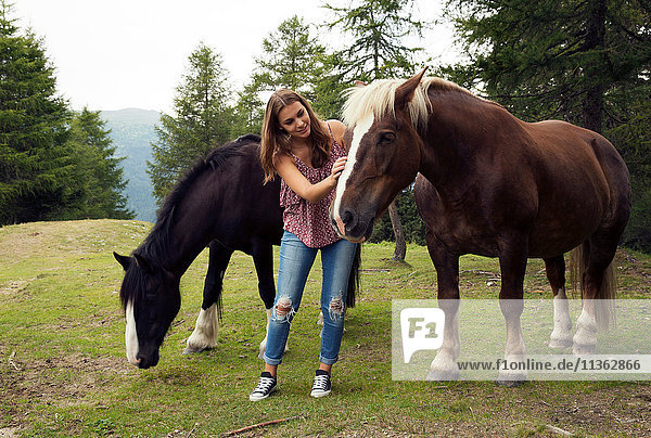 Junge Frau streichelt Palomino-Pferd auf dem Hügel  Sattelbergalm  Tirol  Österreich