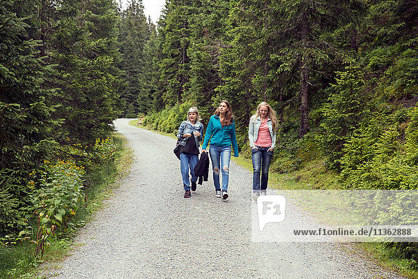 Three female friends walking along forest dirt track  Sattelbergalm  Tyrol  Austria
