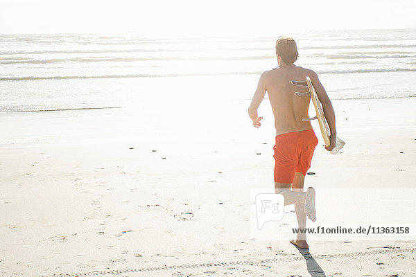 Rückansicht eines jungen männlichen Surfer  der am sonnenbeschienenen Strand läuft  Kapstadt  Western Cape  Südafrika
