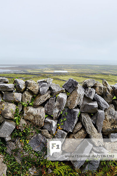 Steinmauer und ländliche Szene  Inishmore  Irland