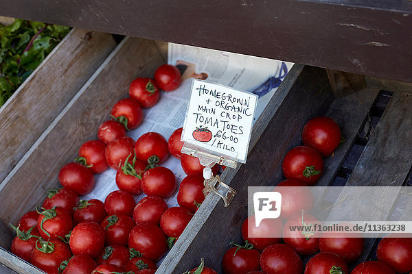 Selbstgezogene Tomaten zum Verkauf  Nahaufnahme  Cork  Irland