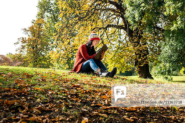 Junge Frau sitzt auf Gras im Park  studiert  Blick aus niedrigem Winkel