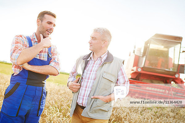 Landwirte im Weizenfeld beim Plaudern