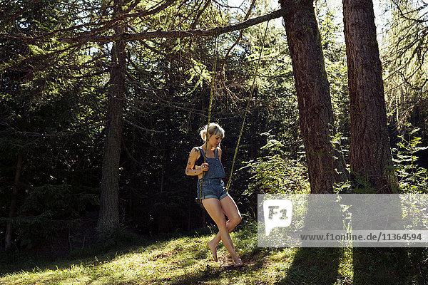 Mid adult woman sitting on forest swing  Sattelbergalm  Tyrol  Austria
