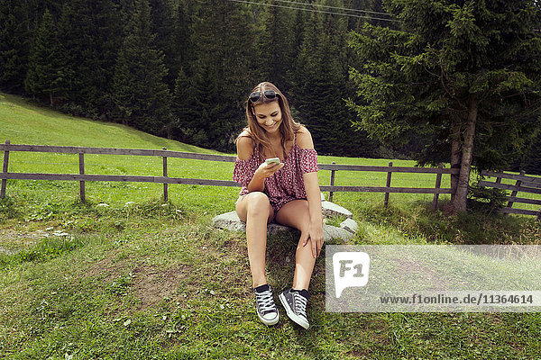Junge Frau sitzt im Feld und liest Smartphone-Texte  Sattelbergalm  Tirol  Österreich