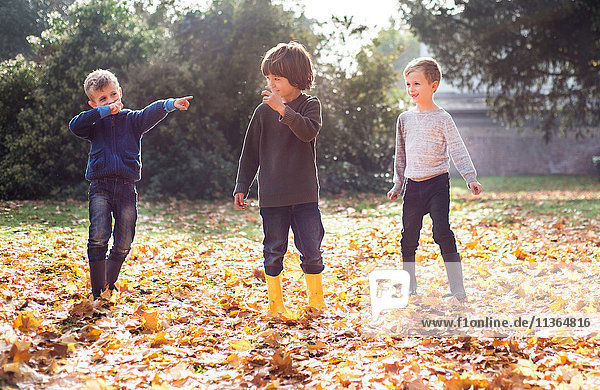 Drei Jungen spielen im Herbst im Freien  im Herbstlaub