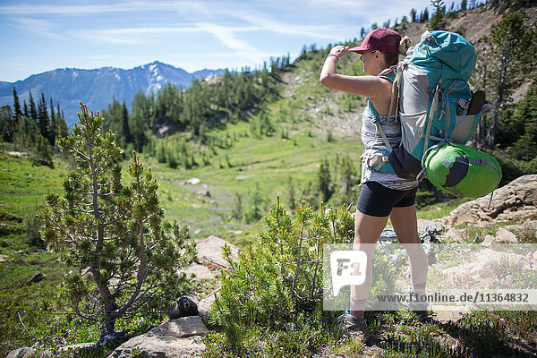 Wanderer geniessen Aussicht  Verzauberungen  Alpine Lakes Wilderness  Washington  USA