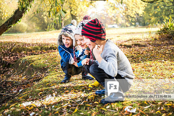 Drei kleine Jungen  im Freien spielend  im Herbstlaub kauernd