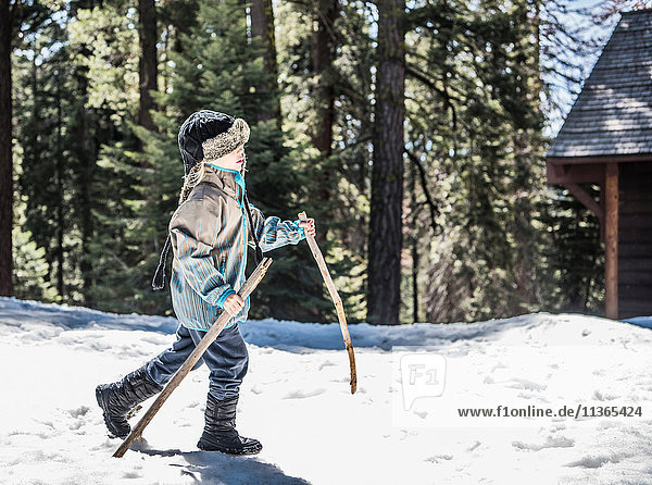 Junge  der mit Holzstöcken im Schnee läuft  Sequoia-Nationalpark  Kalifornien  USA