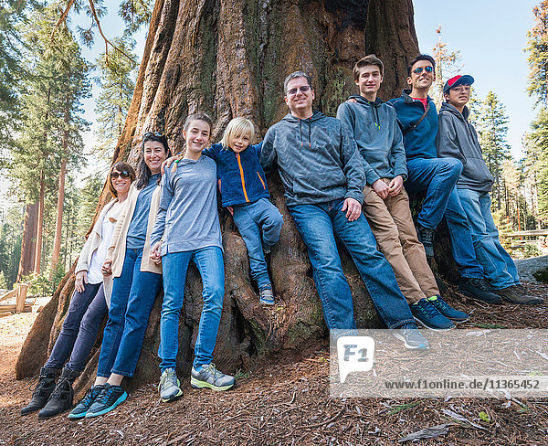 Porträt einer Gruppe von Menschen  die um einen großen Baum stehen  Sequoia-Nationalpark  Kalifornien  USA