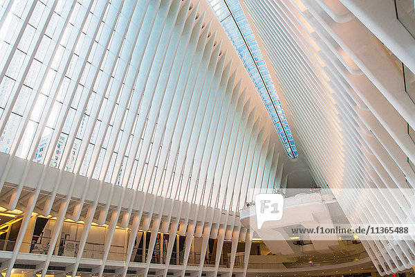 Oculus structure  One World Trade Centre  New York City  New York  USA