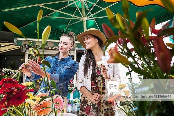 Young female tourist selecting flowers at market stall  Split  Dalmatia  Croatia