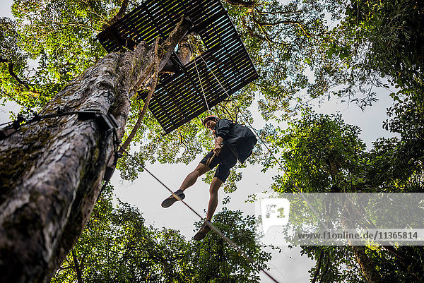 Man hanging from zip line platform in tree Ban Nongluang Champassak province Paksong Laos