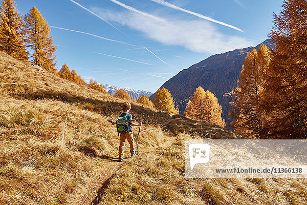 Junge wandert entlang des Weges  Rückansicht  Schnalstal  Südtirol  Italien