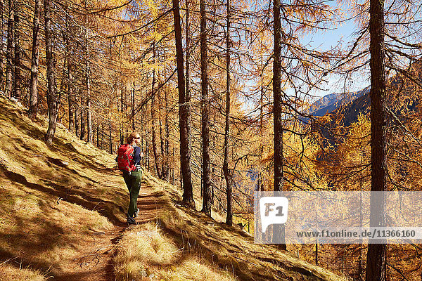 Frau mit Aussicht  Schnalstal  Südtirol  Italien