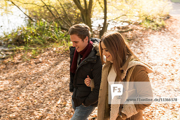 Young couple walking in park  arm in arm  smiling