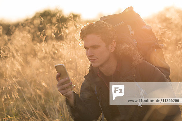 Junger Mann im Feld  der sich ein Smartphone anschaut
