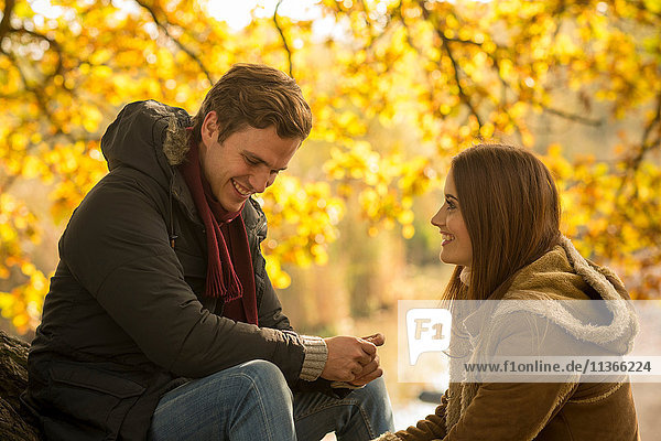 Junges Paar im Wald  von Angesicht zu Angesicht sitzend  lächelnd