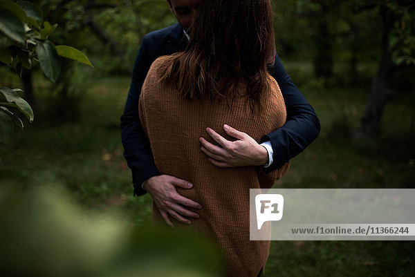 Mittelteil eines romantischen Paares  das sich in der Abenddämmerung im Obstgarten umarmt