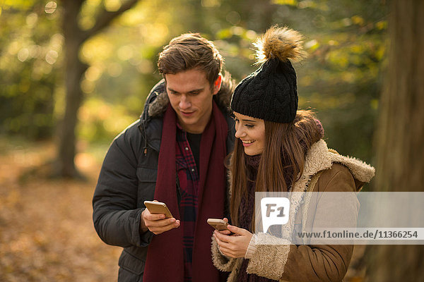 Junges Paar im Wald beim Blick auf Smartphones