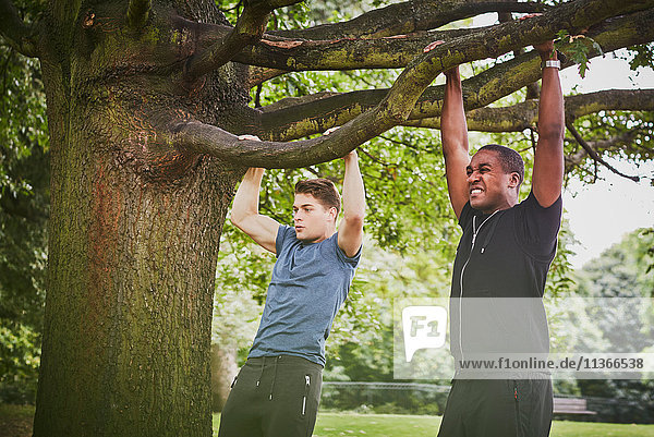 Personal trainer and young man doing pull ups using park tree branch