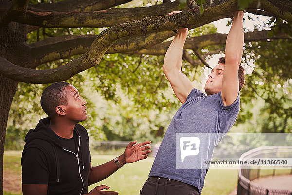 Personal Trainerin  die den Mann mit Hilfe eines Parkbaumzweiges in Pull-Ups unterweist