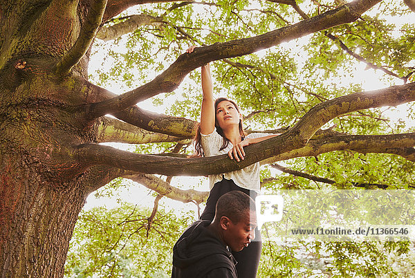 Personal Trainerin hebt Frau zum Klettern auf den Parkbaum