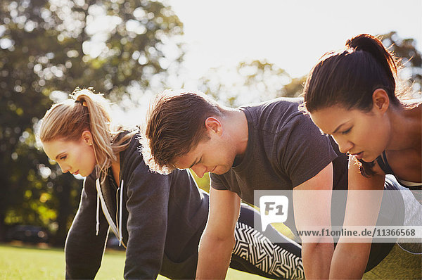 Mann und zwei Frauen beim Push-up-Training im Park