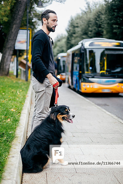 Mittelgroßer erwachsener Mann wartet mit seinem Haushund auf dem Bürgersteig der Stadt