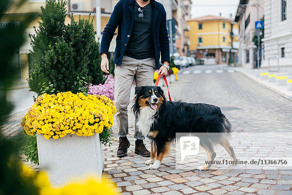 Nackenansicht eines Mannes  der mit einem Hund auf einer Straße in der Stadt Gassi geht