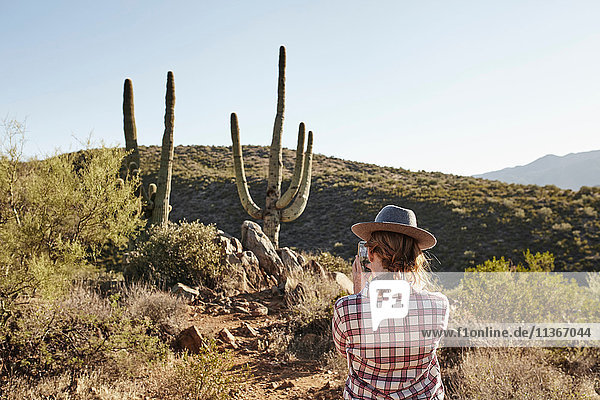 Frau beim Fotografieren von Kakteen  Rückansicht  Sedona  Arizona  USA