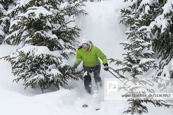 Skier  skiing downhill  between trees