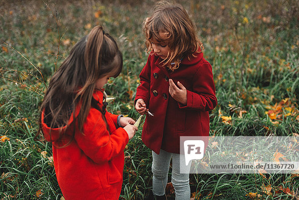Zwei junge Schwestern betrachten Wildblumenschoten auf dem Feld
