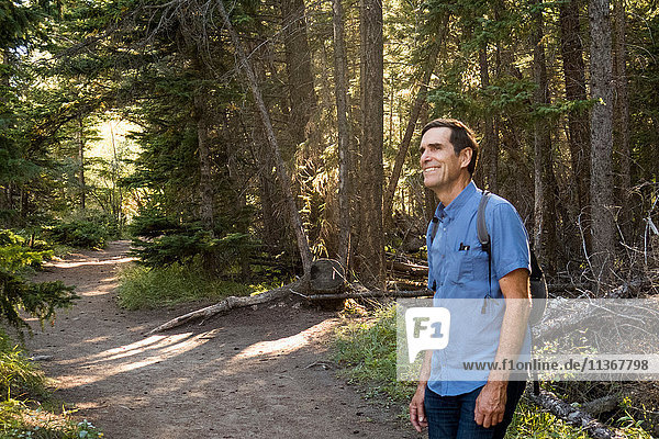 Happy senior male hiker in forest  Canmore  Alberta  Canada