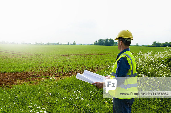 Surveyor with blueprint looking out over farm field