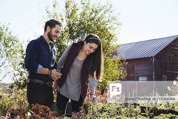 A young man and woman looking at plants on a display at a garden centre.