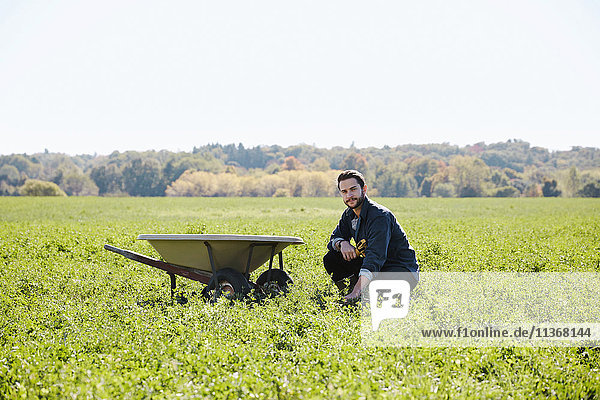 Ein junger Mann kniet auf einem Getreidefeld neben einer Schubkarre.