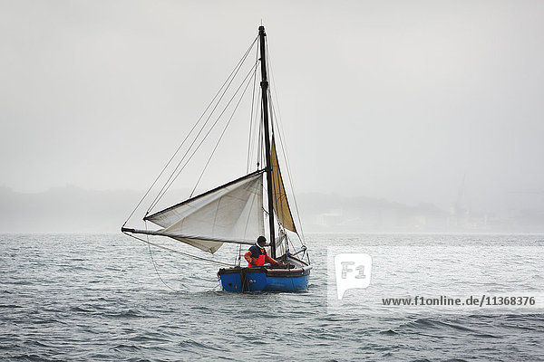 Traditionelle nachhaltige Austernfischerei. Traditionelle Segelboote auf der Flussmündung des Fal.
