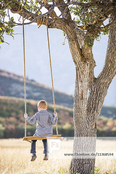 Kind (4-5) sitzt auf einer Schaukel unter einem Baum