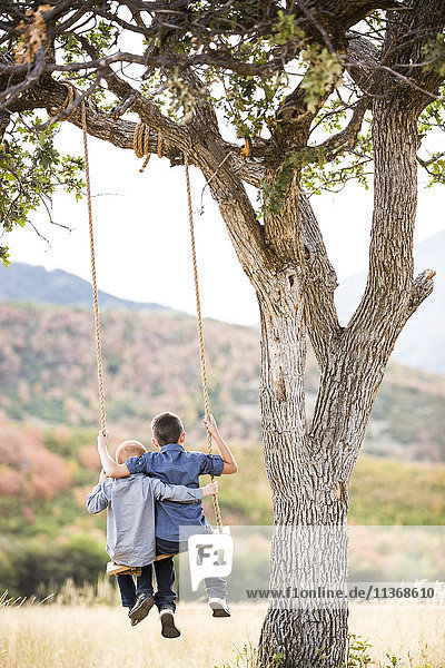 Two boys (4-5 6-7) sitting on swing