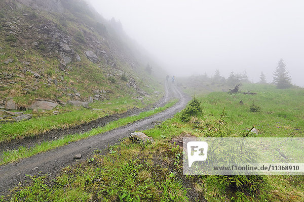 Ukraine  Zakarpattia  Rakhiv district  Carpathians  Maramures  Hiking trail in rolling landscape