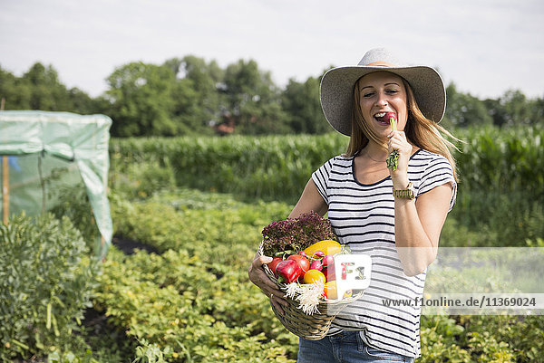 Mid adult woman eating radish and carrying vegetable basket in community garden