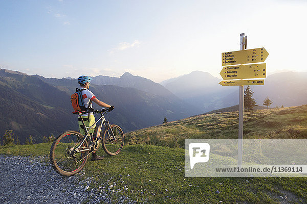 Rear view of mountain biker standing in the alpine landscape and looking at view during sunset  Zillertal  Tyrol  Austria